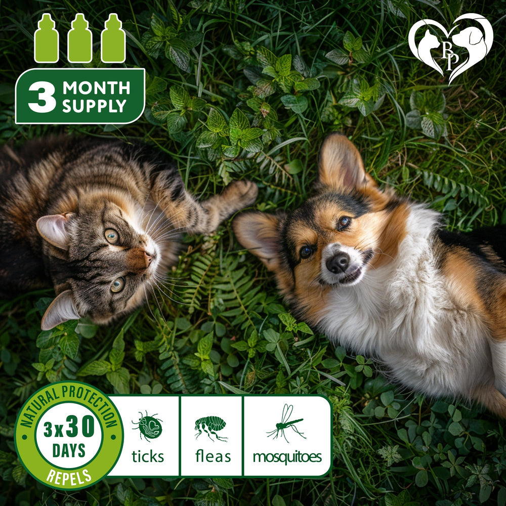 Beloved Pets repelente tópico para pulgas y mosquitos, uso cómodo en mascotas.