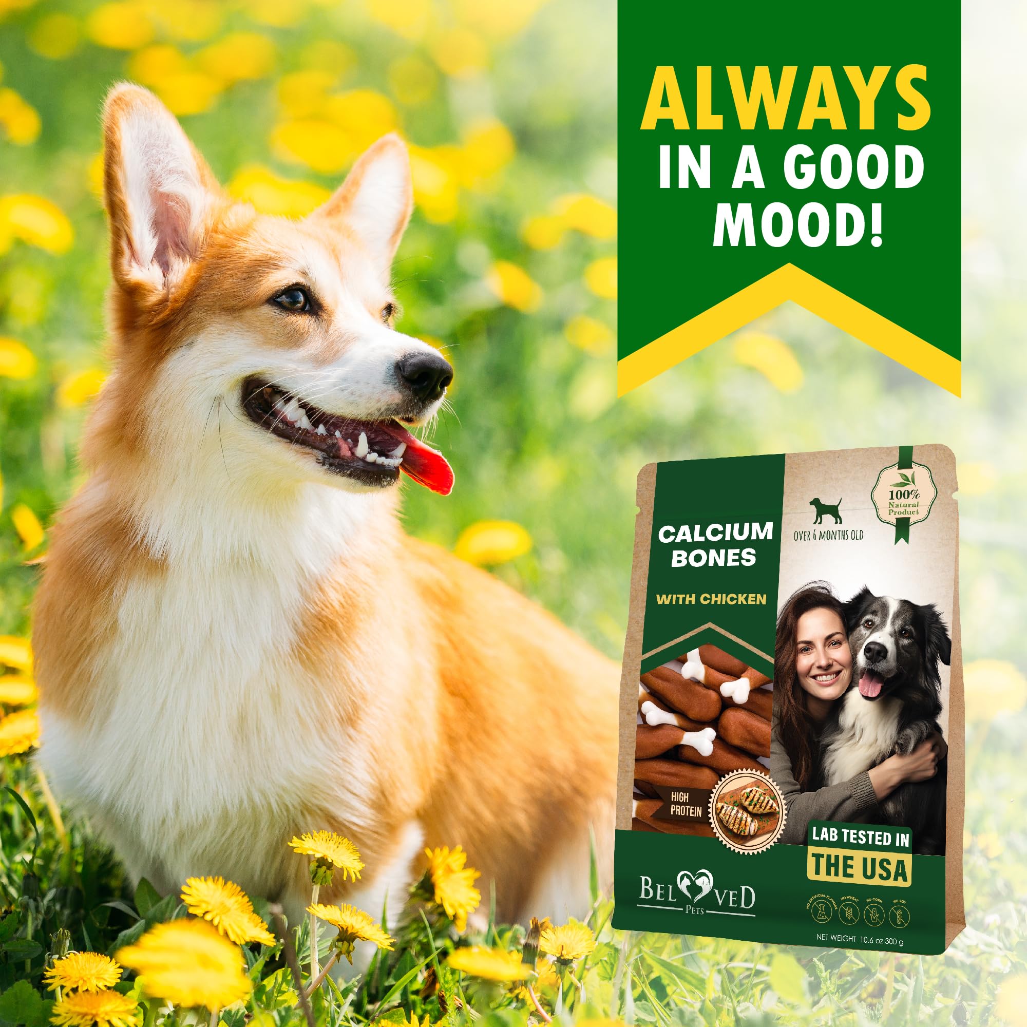 Beloved Pets sans cuir brut: alternative naturelle pour la mastication securisee