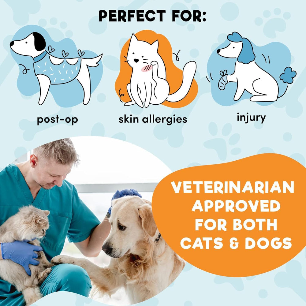 BENCMATE Collar inflable Donut azul diseñado para perros, permitiendo comer y beber.