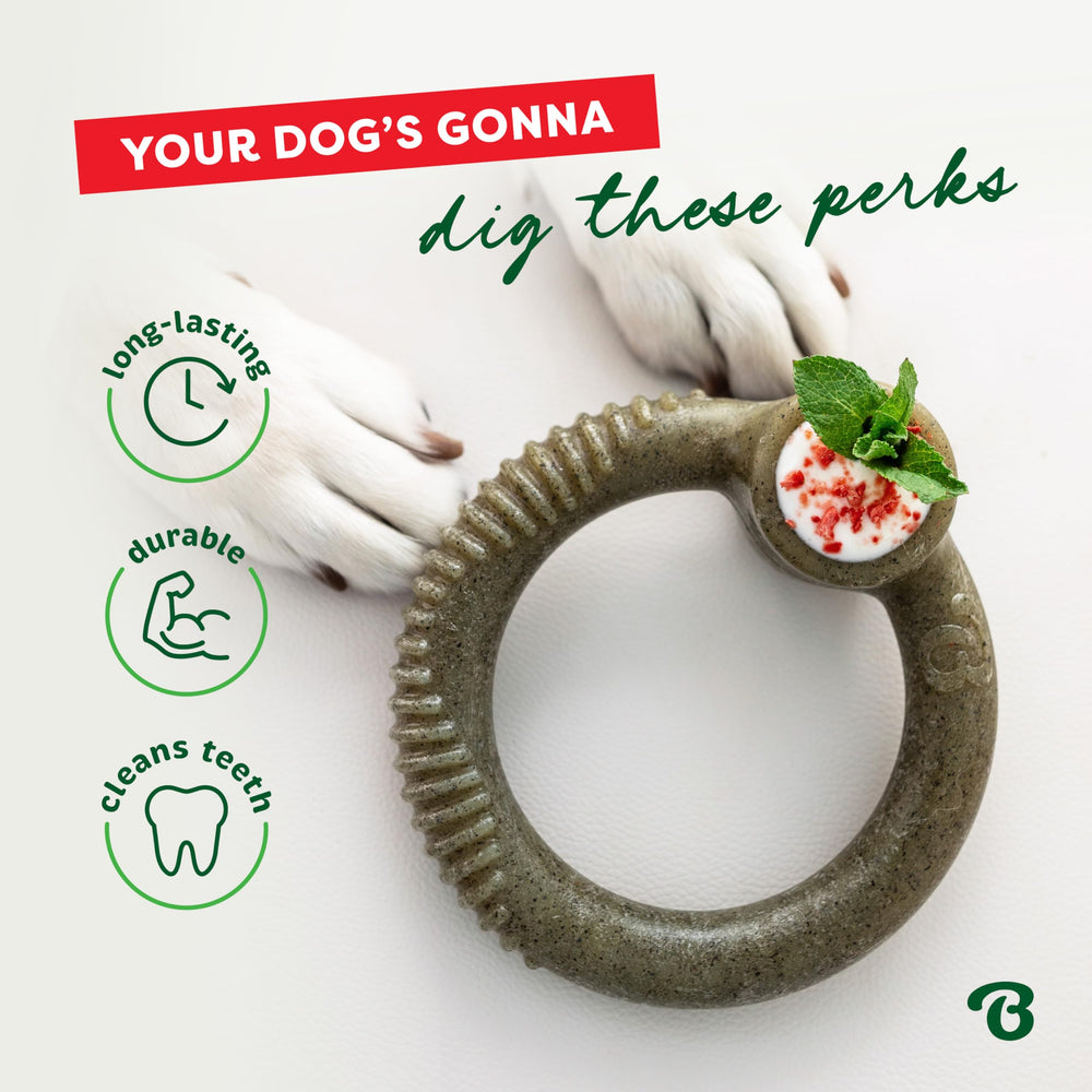 Benebone Peppermint Ring, diseño fácil de sujetar para perros activos.