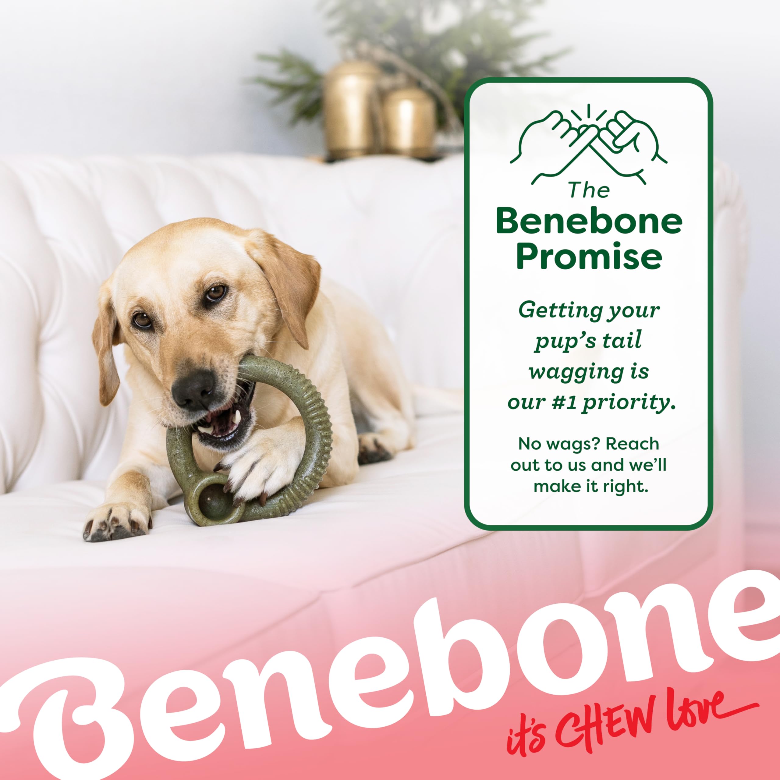 Benebone Peppermint Ring edición limitada, regalo festivo para perros.