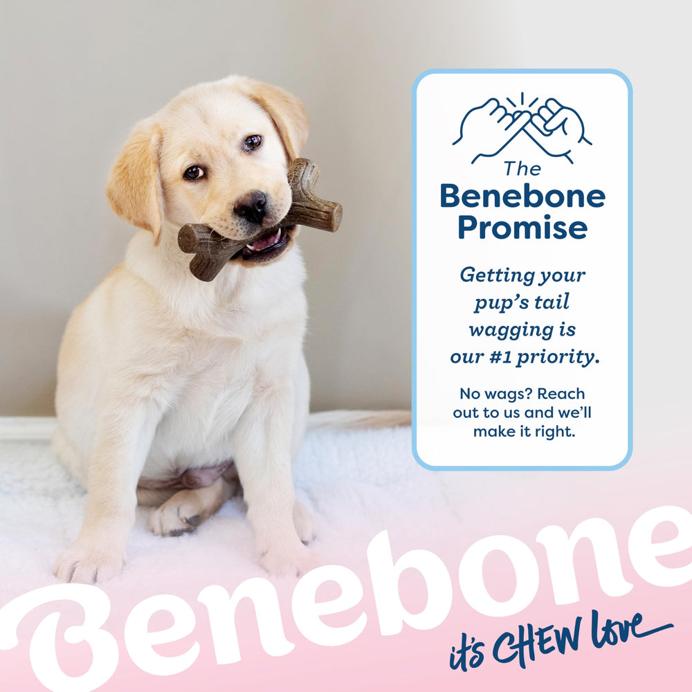 Benebone aviso seguridad sobre alergias a cacahuates