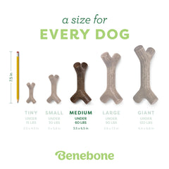 Benebone Bacon Stick: hecho en Estados Unidos, calidad y seguridad.