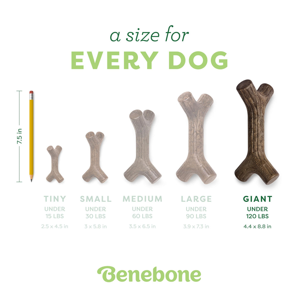 Benebone Bacon Stick hecho en Estados Unidos con producción local