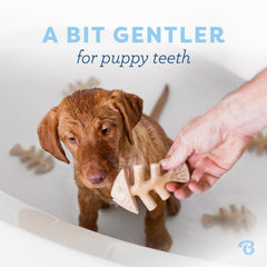 Benebone cachorros: sabor tocino para mordidas