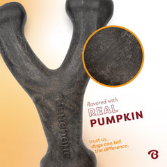 Benebone Calabaza Especiada Wishbone: aroma natural de calabaza para juego