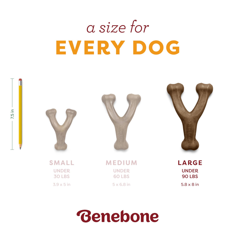 Benebone Calabaza Especiada Wishbone: hecho en Estados Unidos, durabilidad garantizada