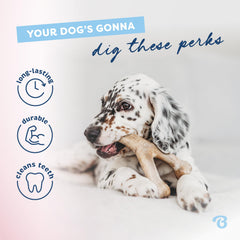 Benebone chiot: prise en main facile grâce à son design ergonomique.