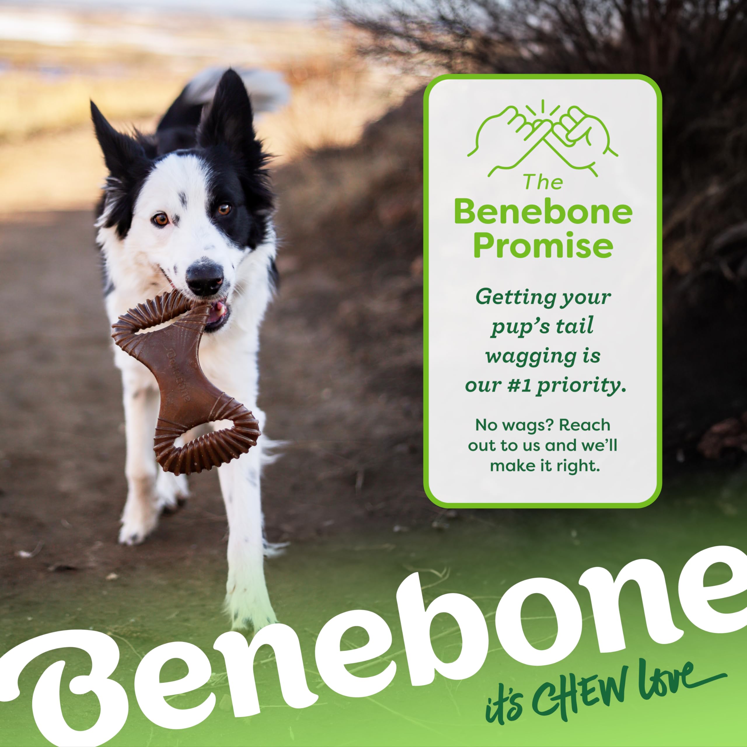 Benebone diseño seguro con control de desgaste para perros grandes