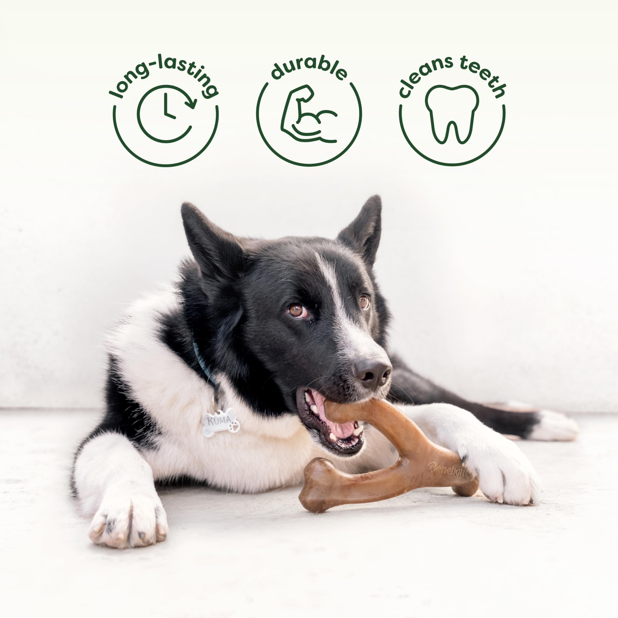 Benebone dos texturas: opciones de juego y masticación para perros