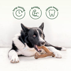 Benebone dos texturas: opciones de juego y masticación para perros