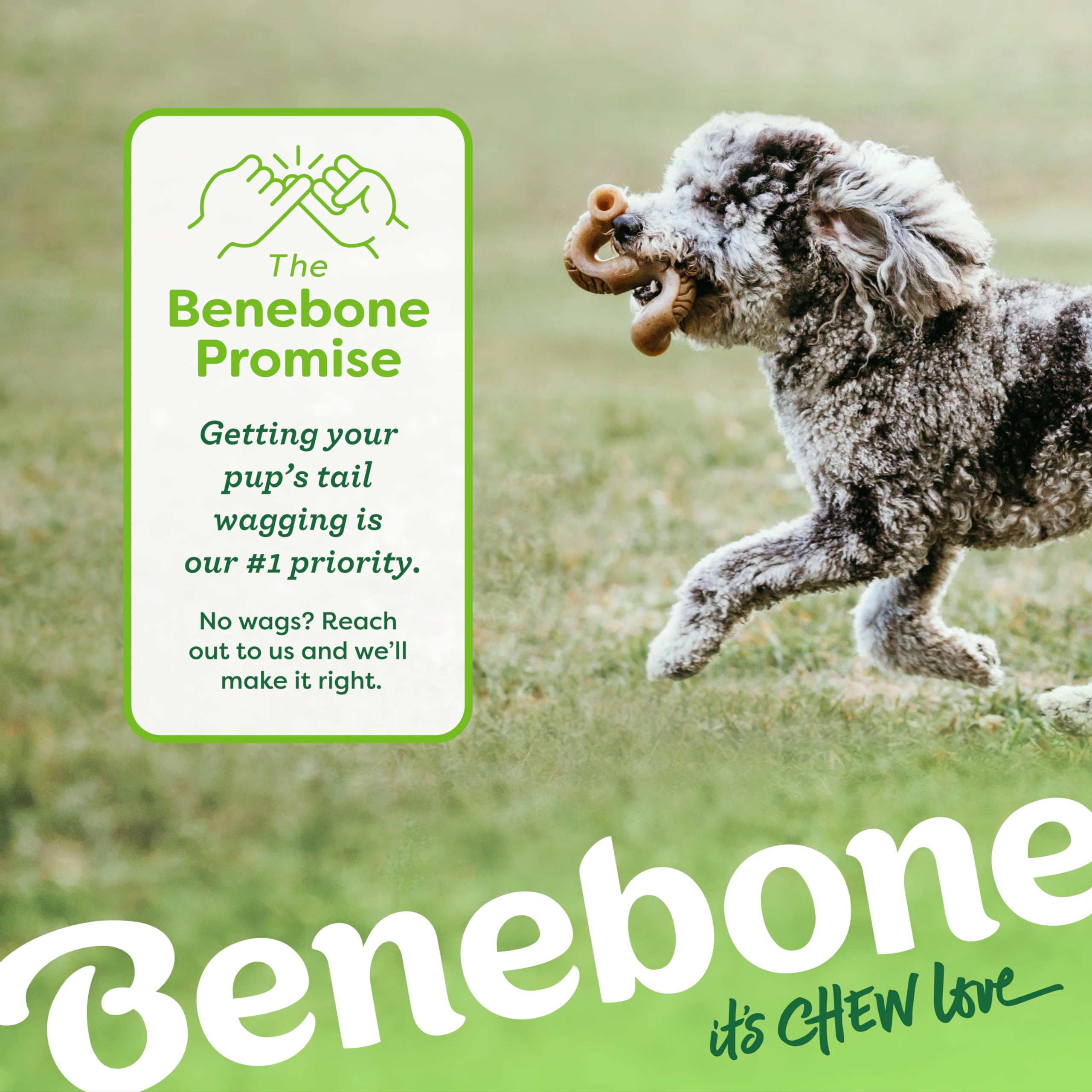 Benebone Durabilidad de larga duración para mordedores potentes