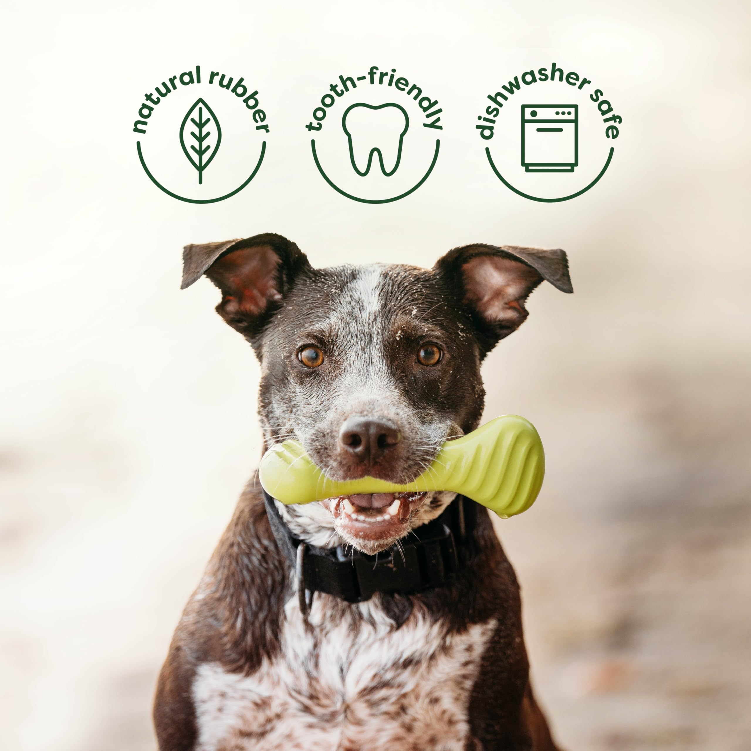 Benebone durabilidad en masticación: diseño resistente para perros enérgicos