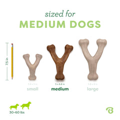 Benebone, diseño resistente para perros masticadores intensos y limpieza suave