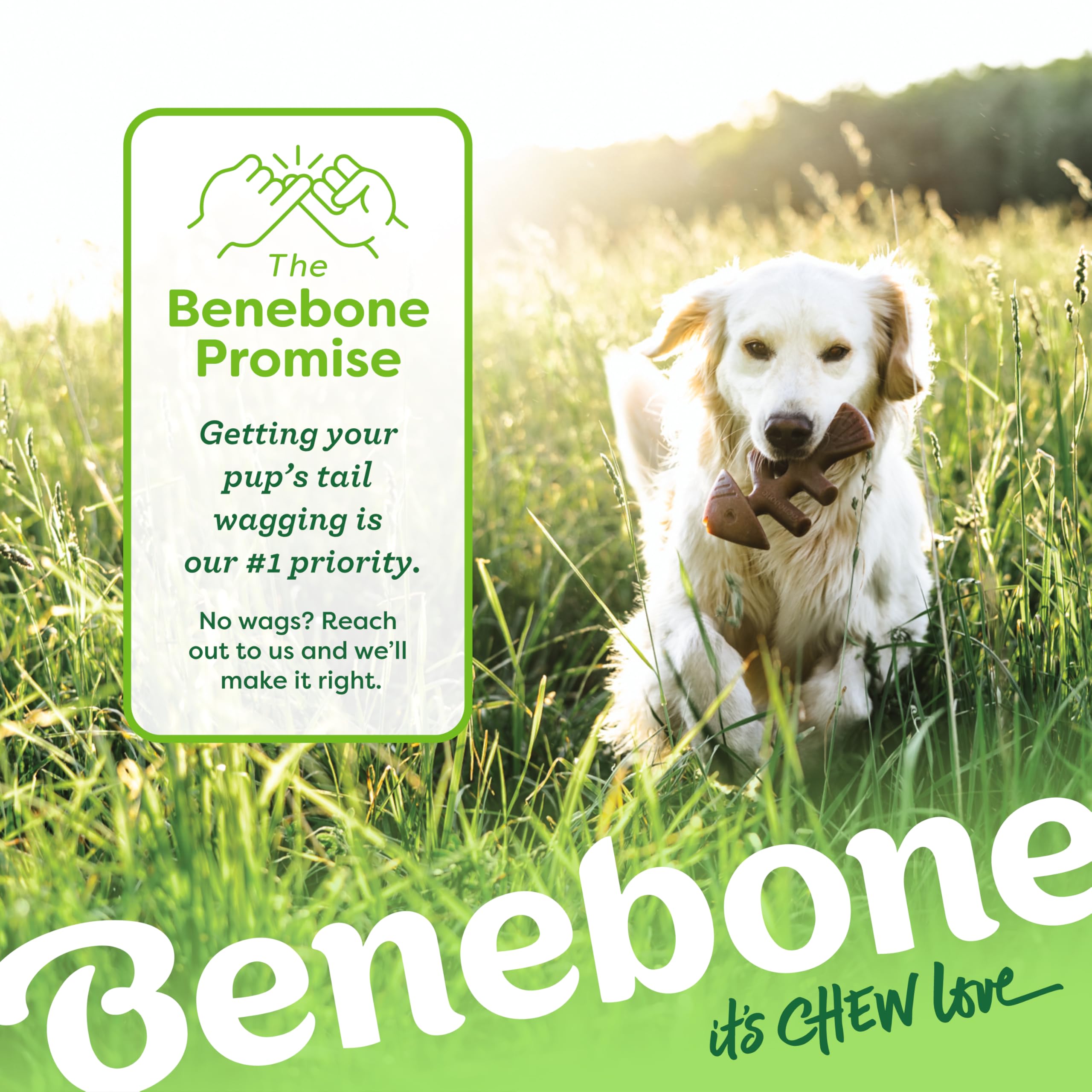Benebone Fishbone con diseño fácil de agarrar para mordiscos prolongados.