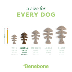Benebone Fishbone – sessions-mordillage idéales sous supervision
