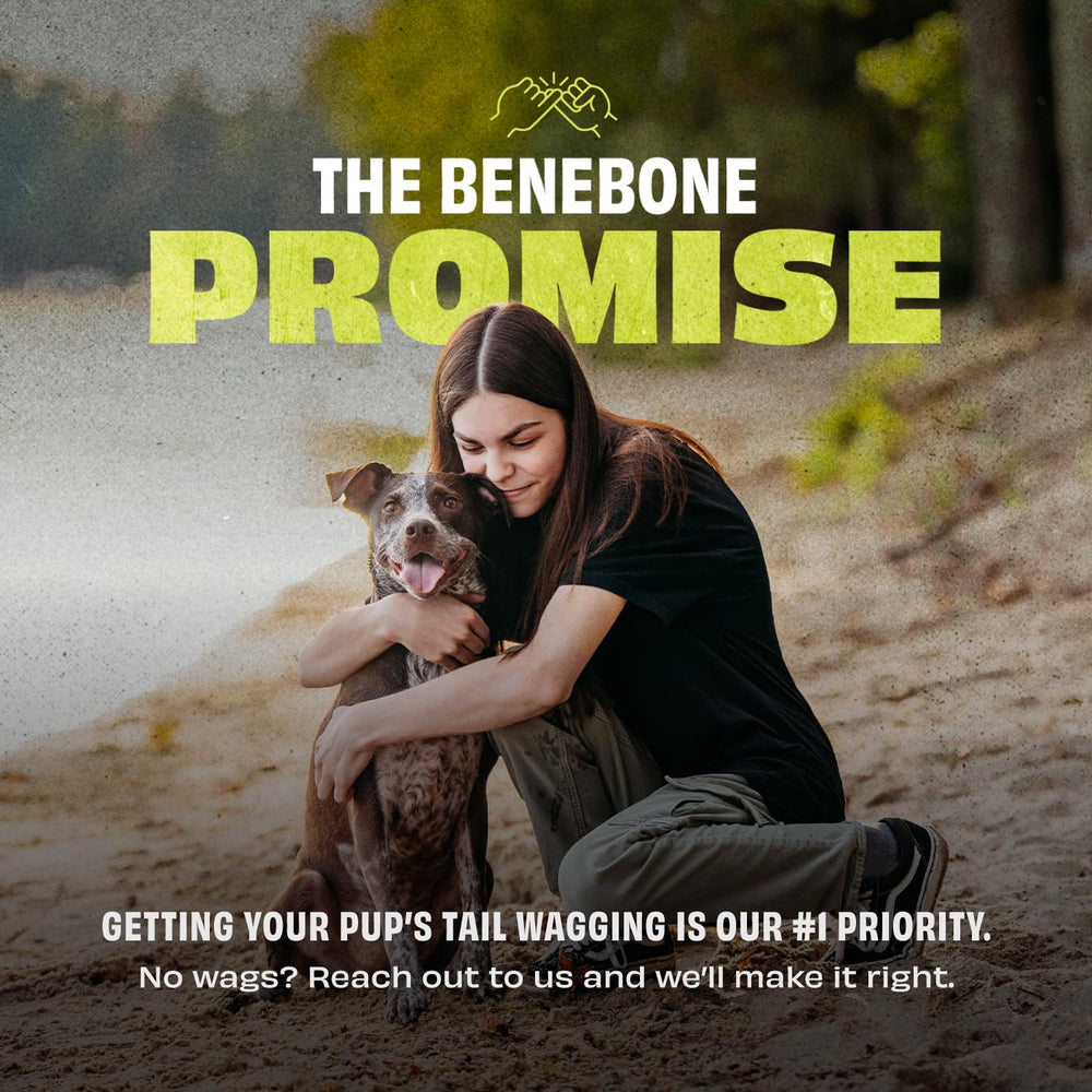 Benebone hueso de goma natural, satisfacción garantizada y atención al cliente.