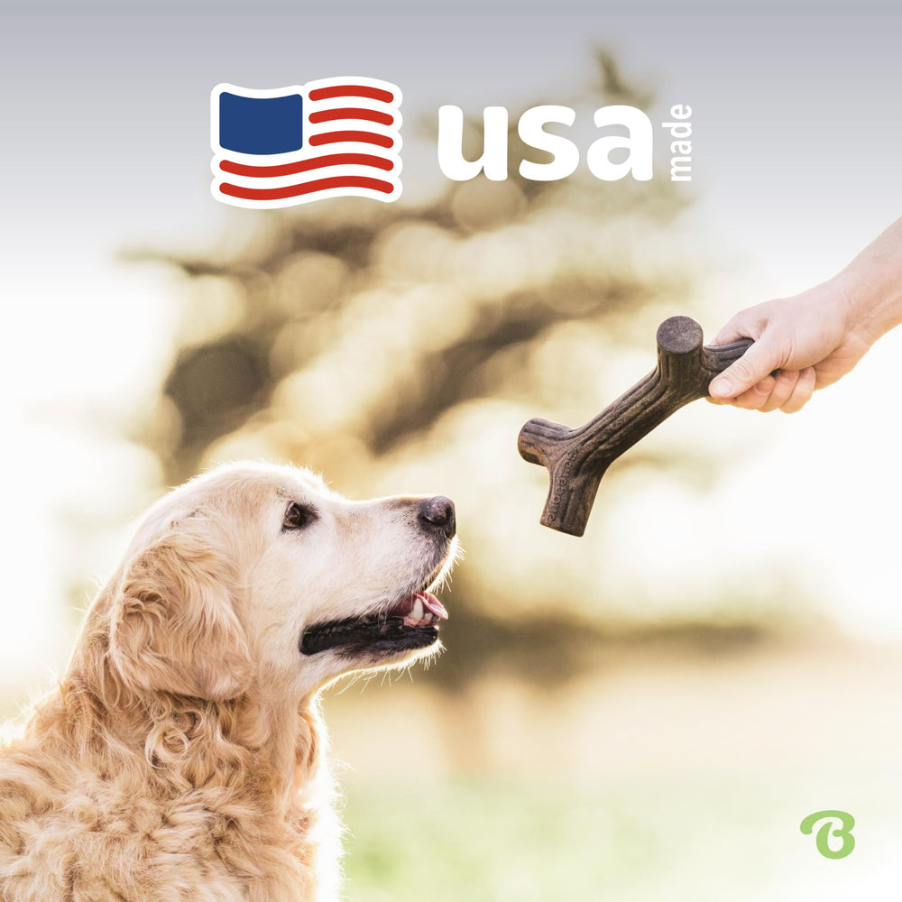 Benebone Maplestick ofrece masticación prolongada y entretenimiento seguro