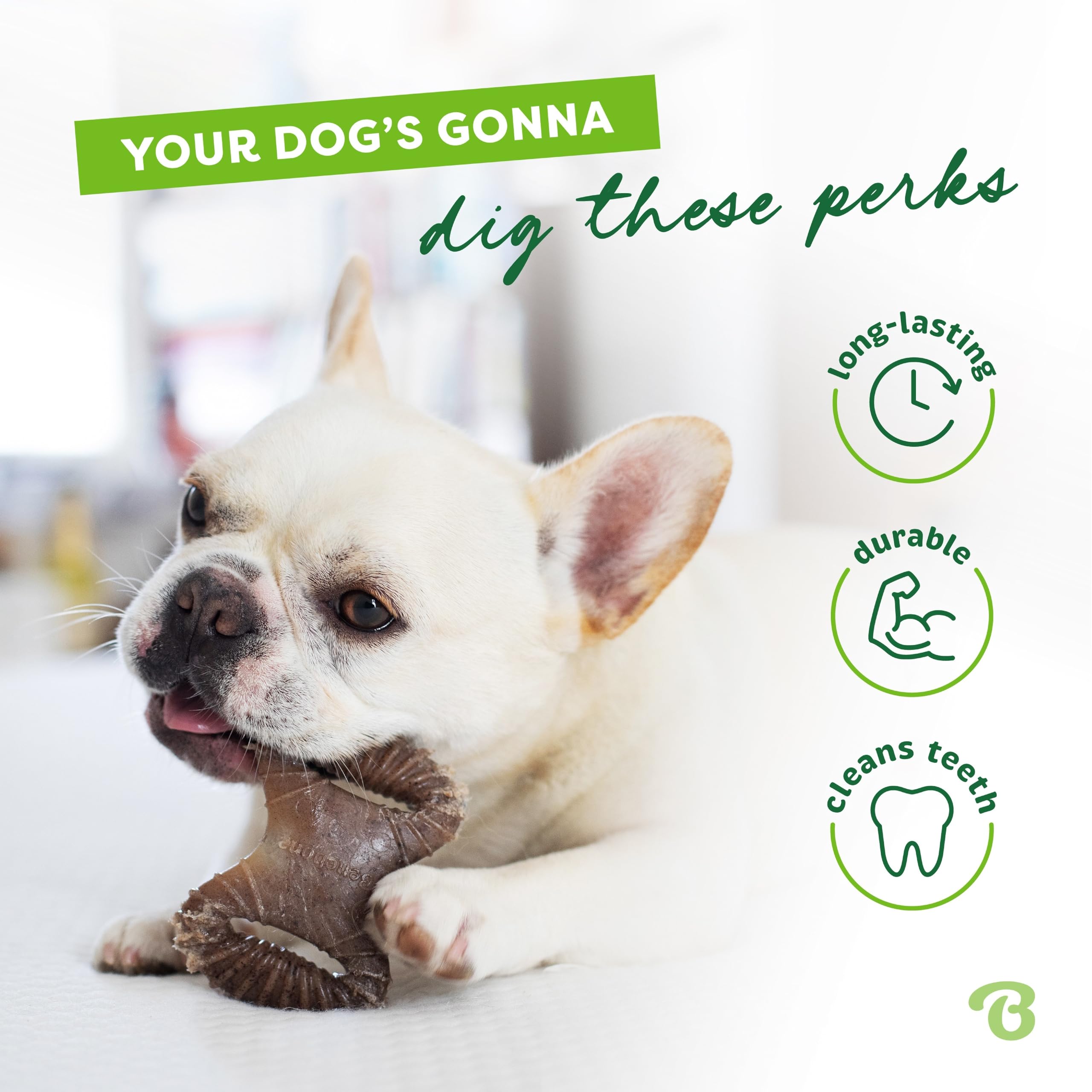 Benebone Mini agarre fácil, mordida cómoda para perros pequeños.