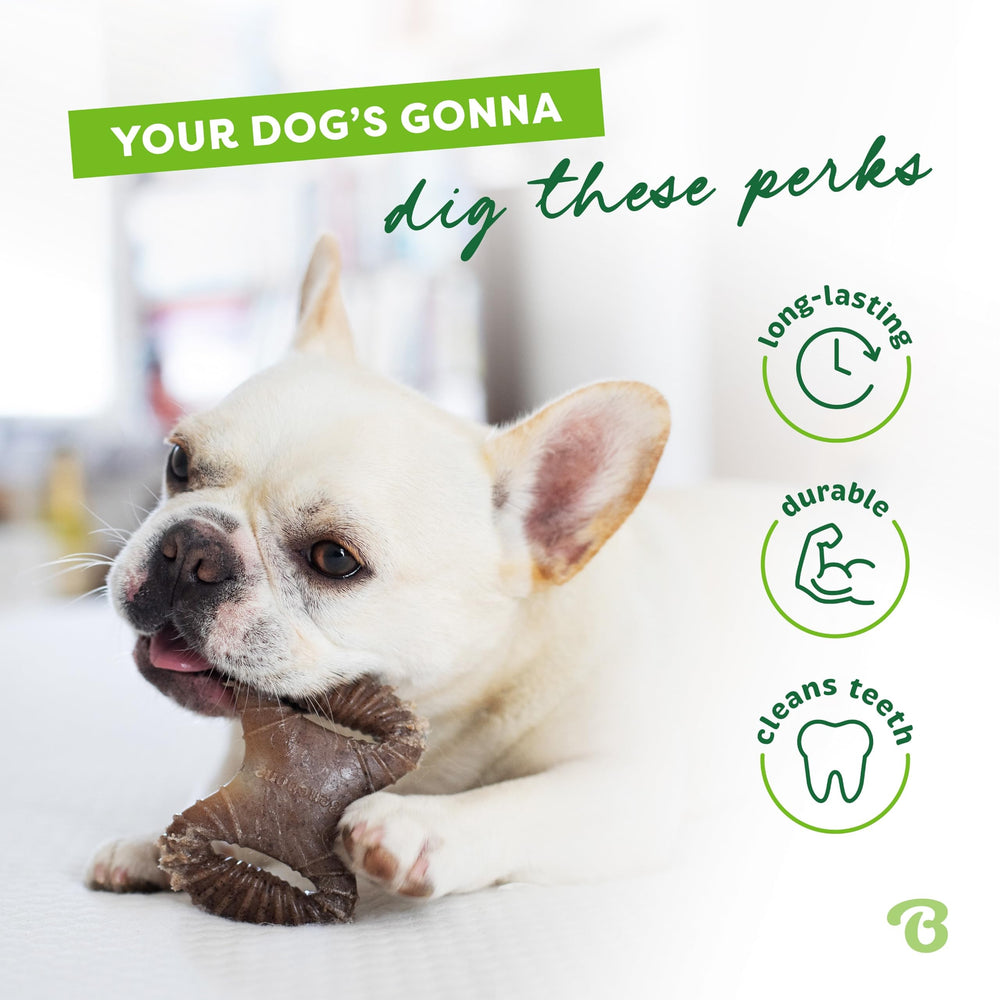 Benebone Mini agarre fácil, mordida cómoda para perros pequeños.