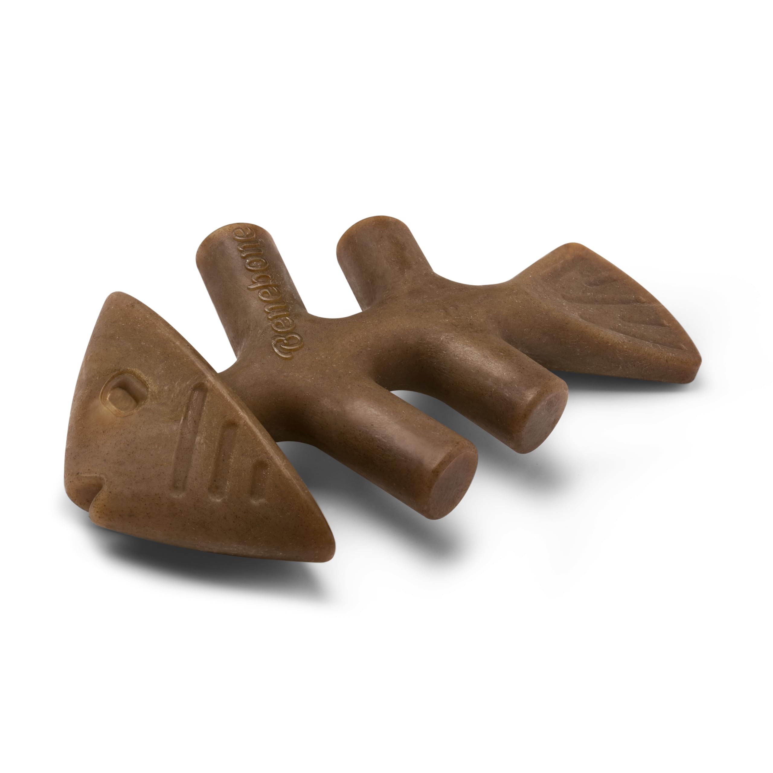 Benebone Fishbone – jouet durable avec poisson réel pour chien énergique.