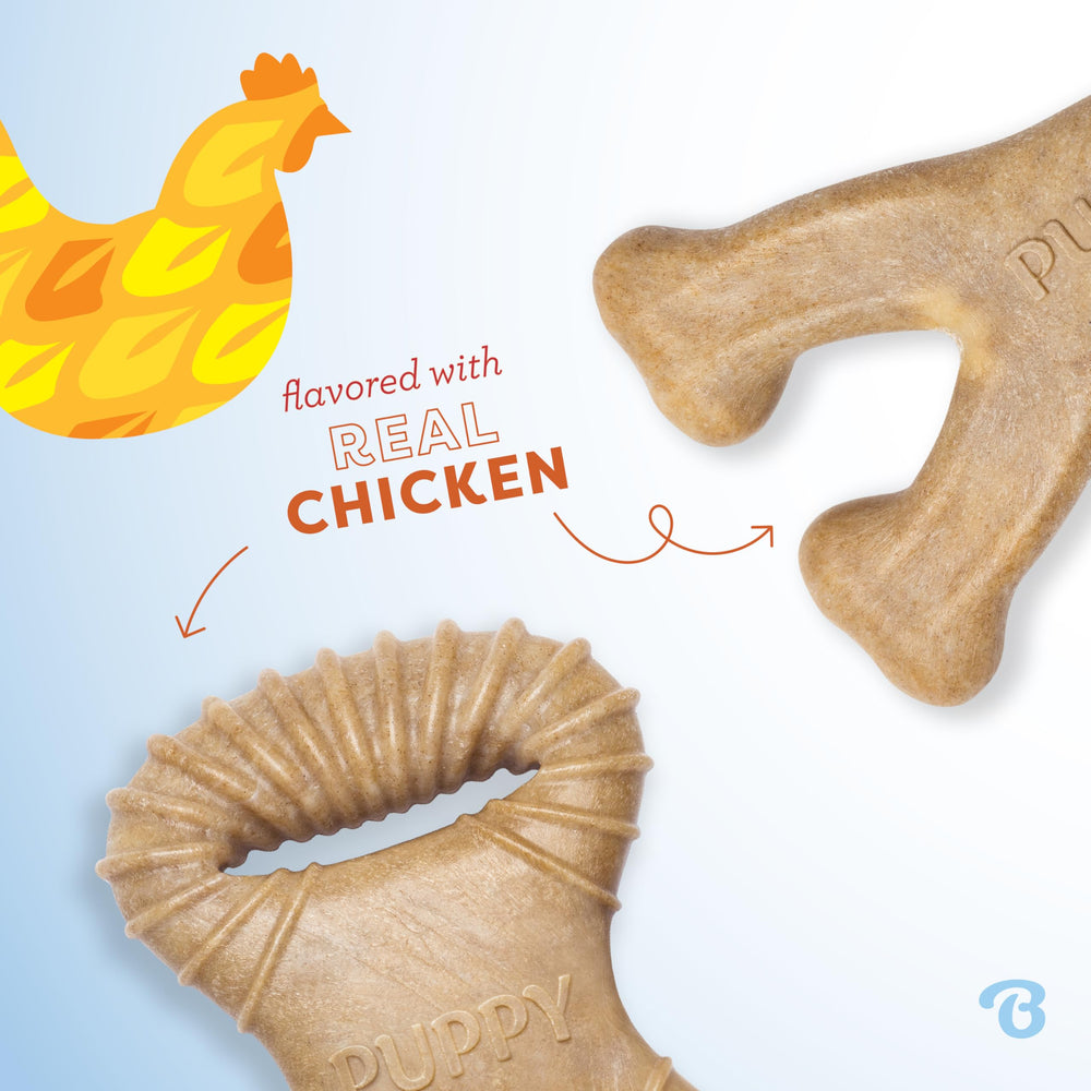 Benebone Puppy 2-Pack en uso, masticando con sabor a pollo real