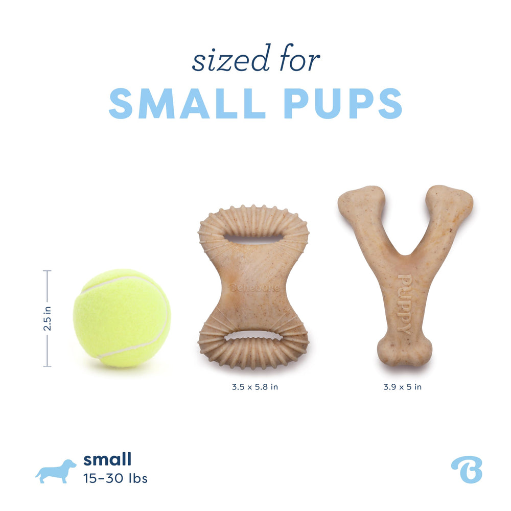 Benebone Puppy dientes sanos y masticación diaria para perros pequeños.