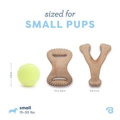 Benebone Puppy dientes sanos y masticación diaria para perros pequeños.