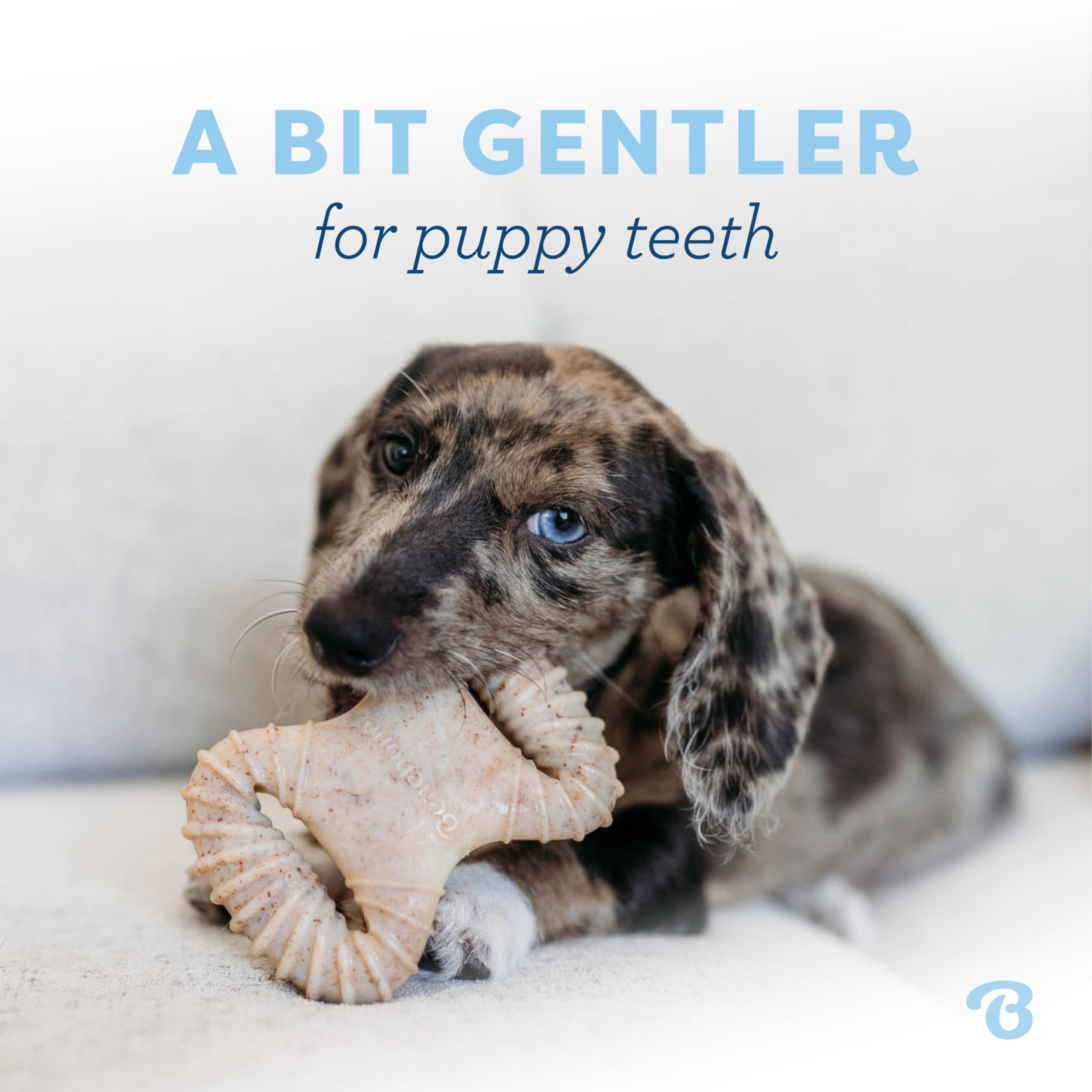 Benebone Puppy diseño fácil de agarrar para perros pequeños.