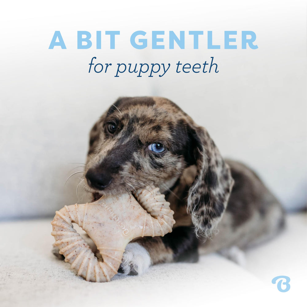 Benebone Puppy diseño fácil de agarrar para perros pequeños.
