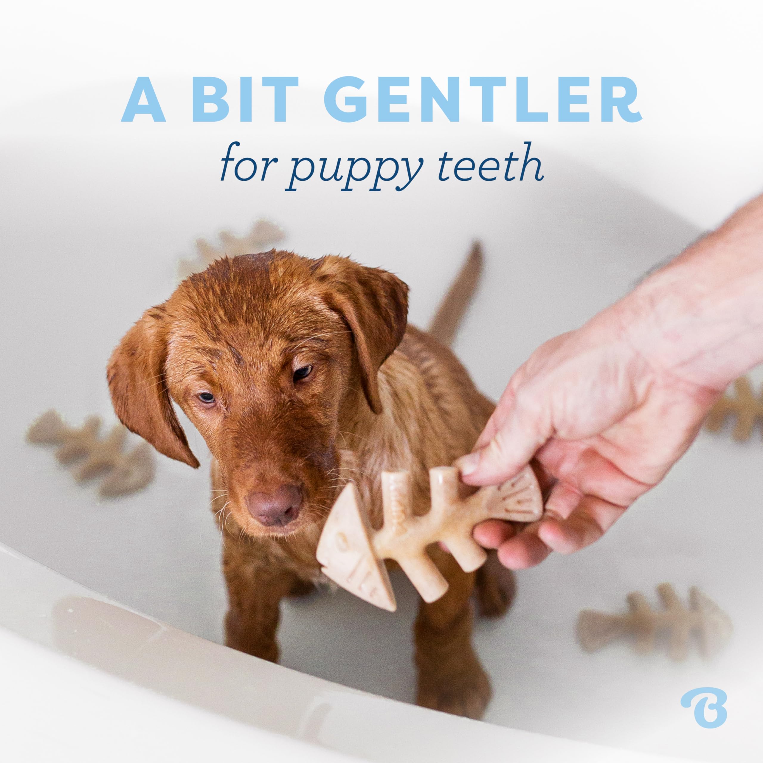 Benebone Puppy Fishbone, textura suave para dentición de cachorros.