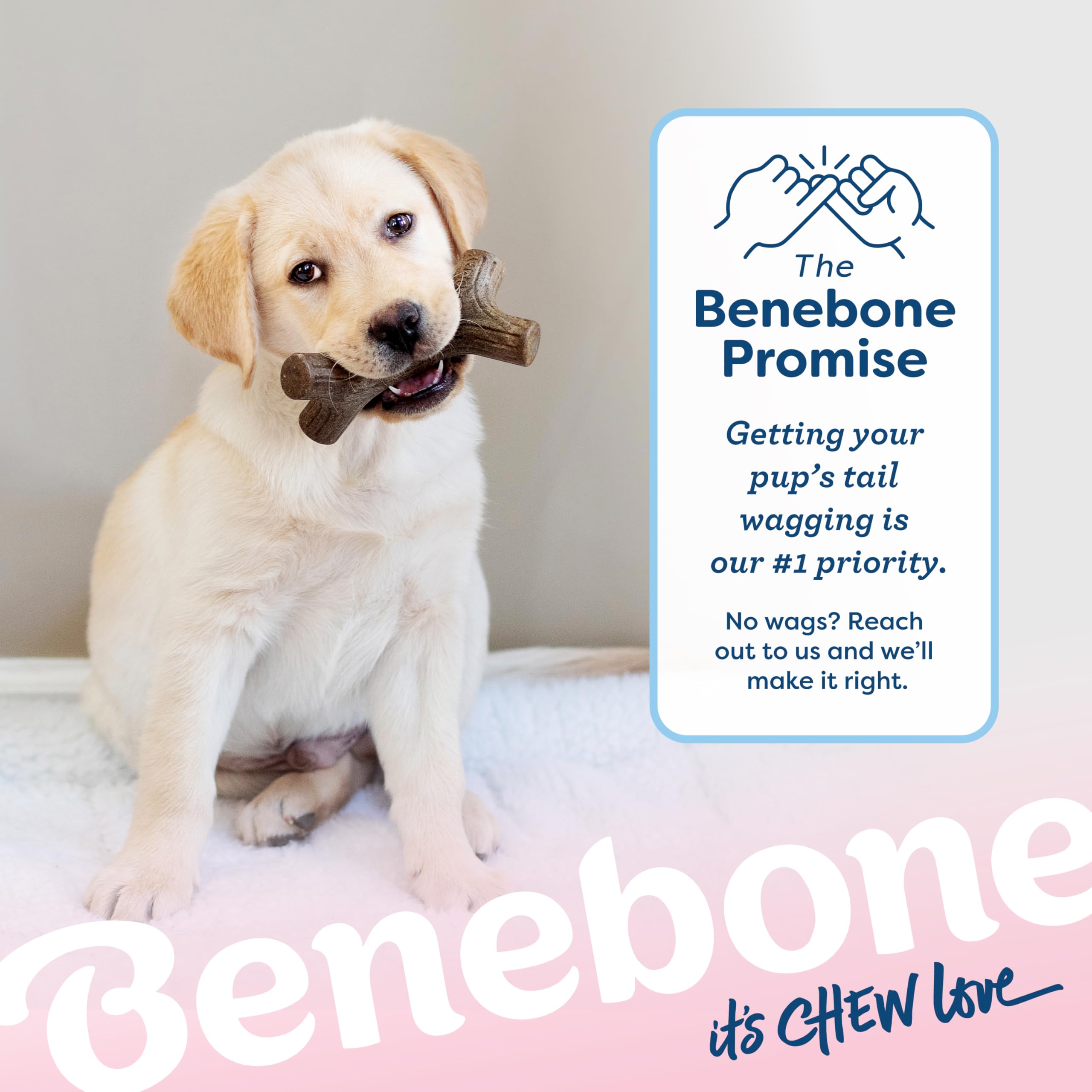 Benebone Puppy Maplestick facilita la exploración sensorial con sabor real a arce durante la masticación.