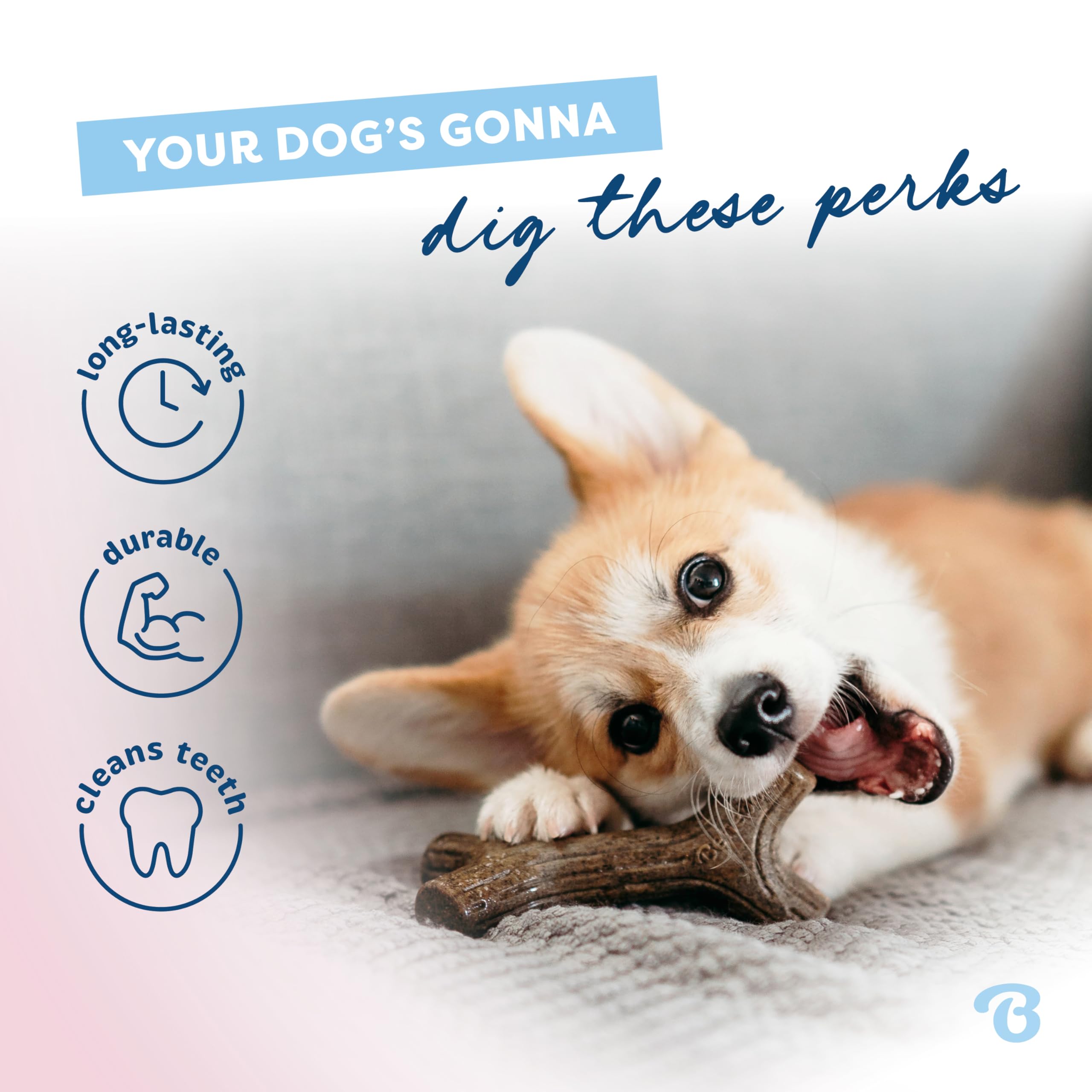 Benebone Puppy Maplestick primer plano, sabor a arce real, ayuda a mantener ocupada la boca.