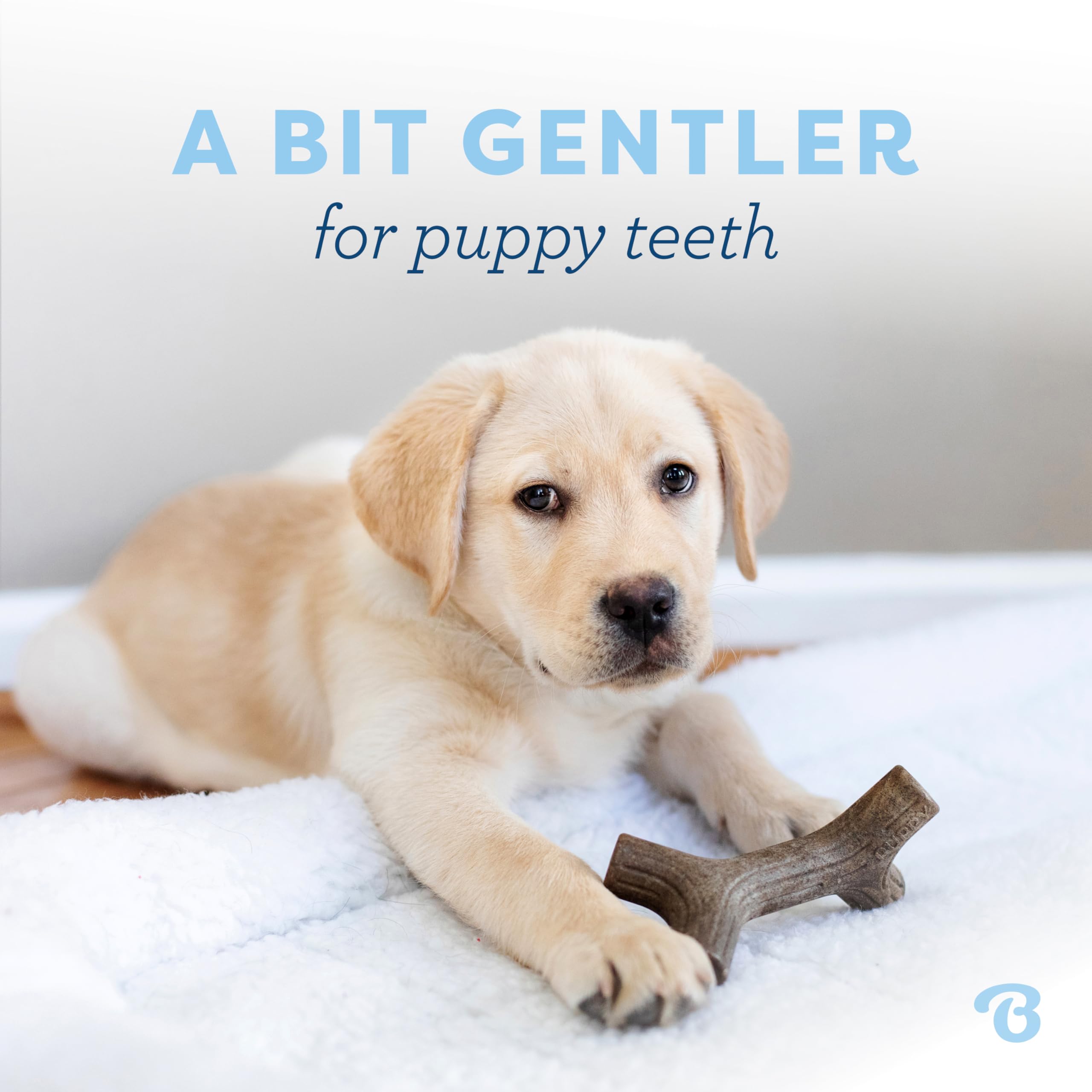 Benebone Puppy Maplestick Zaggler con tocino real, aroma para cachorros.