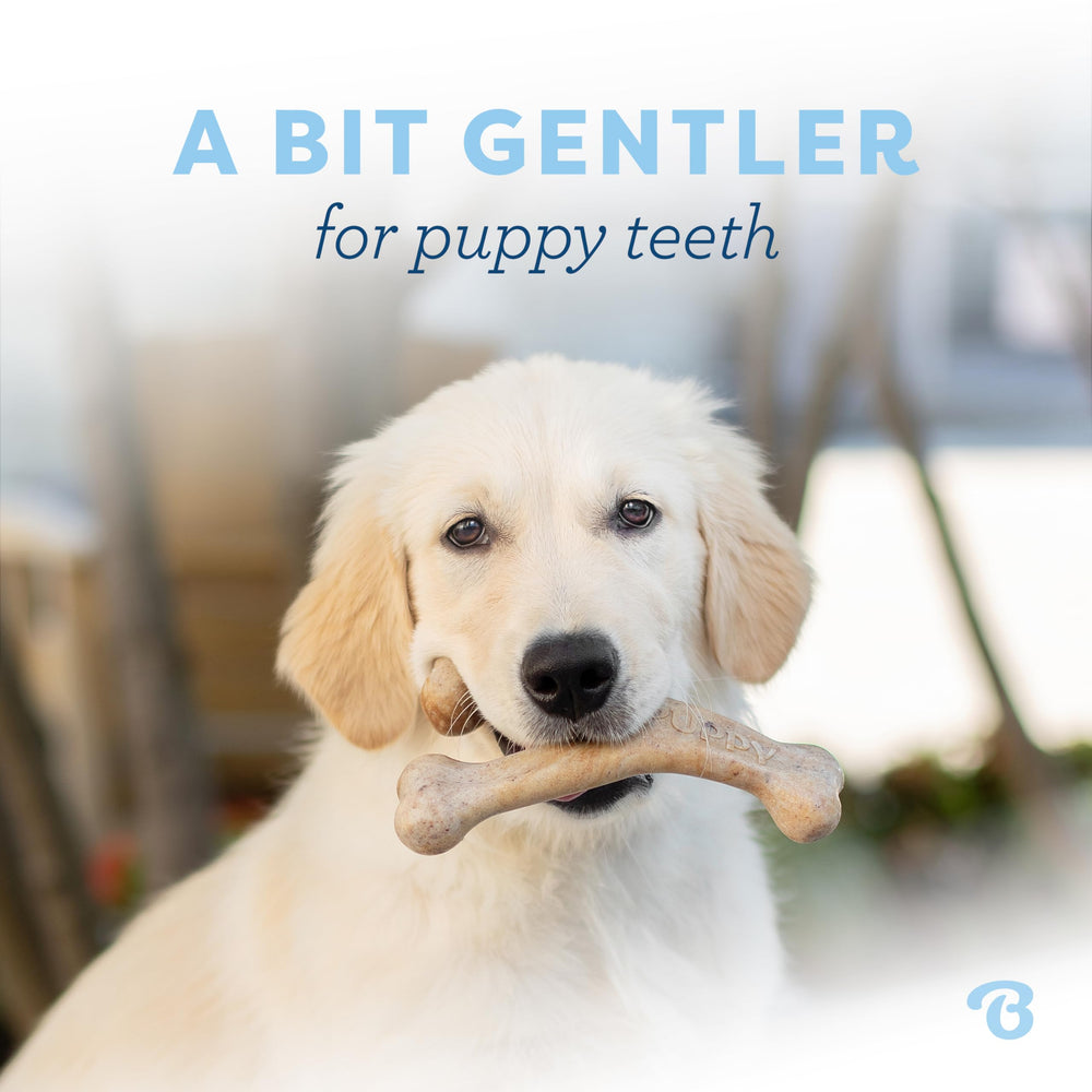 Benebone Puppy Wishbone con diseño curvo para agarre cómodo durante el juego.