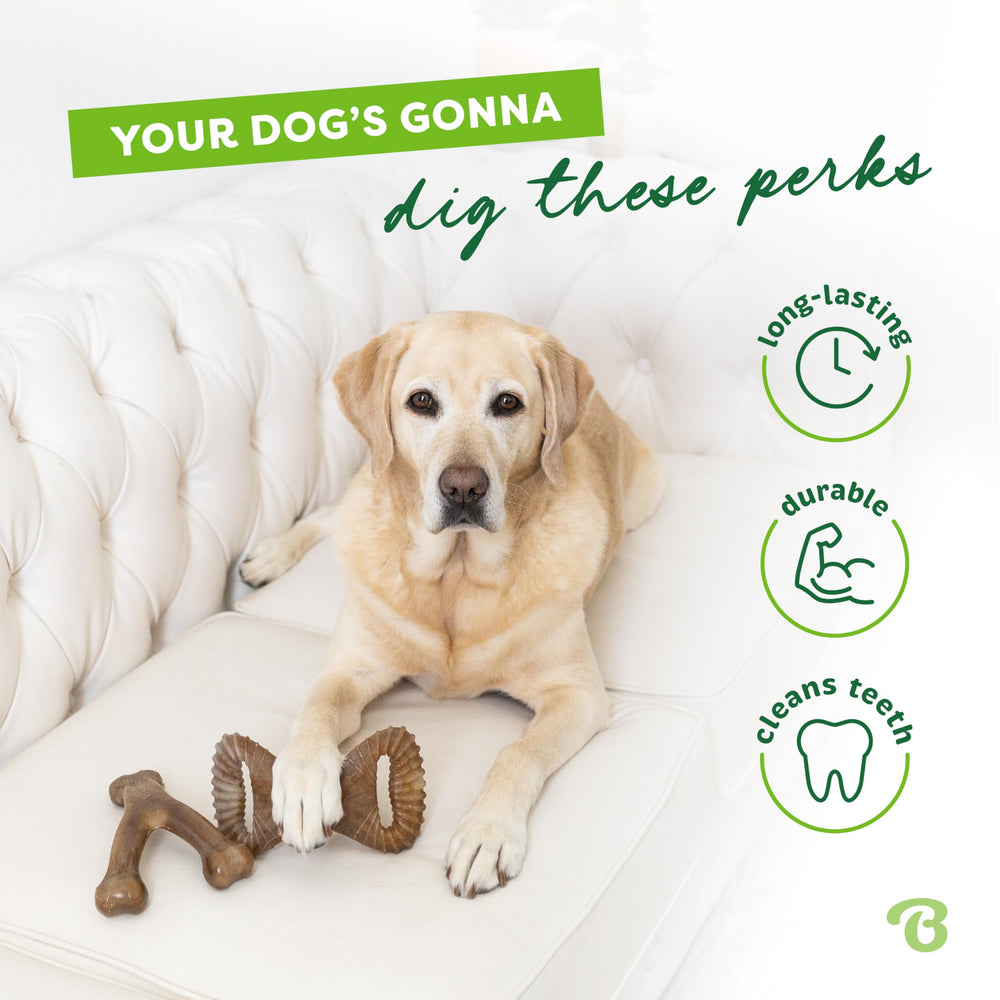Benebone raspa placa dental al masticar, limpieza suave.