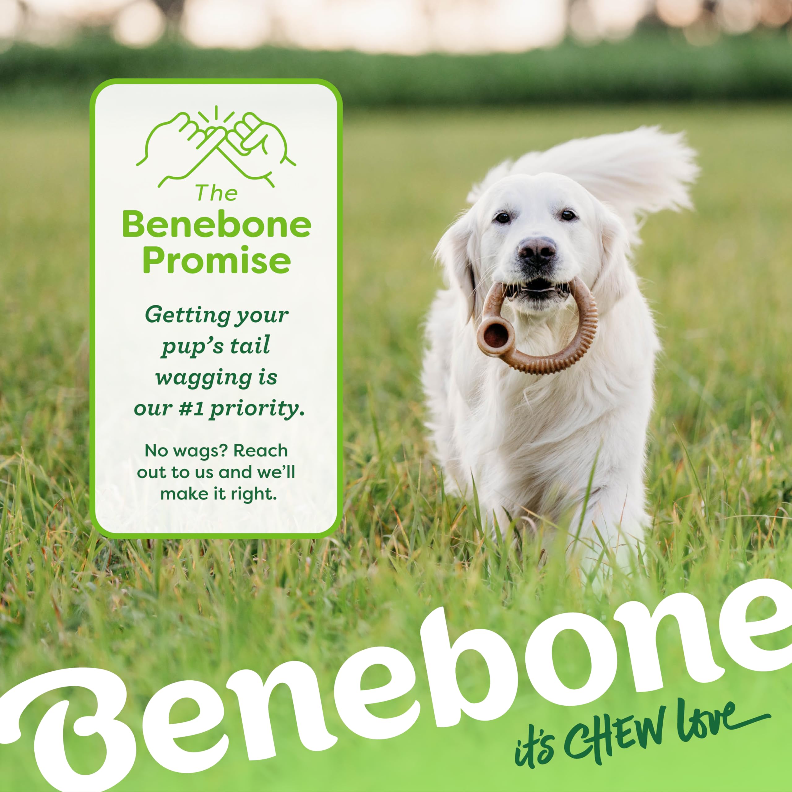 Benebone Ring, atención al cliente dedicada para resolver dudas