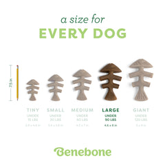 Benebone Fishbone – service client dédié et satisfaction possible.