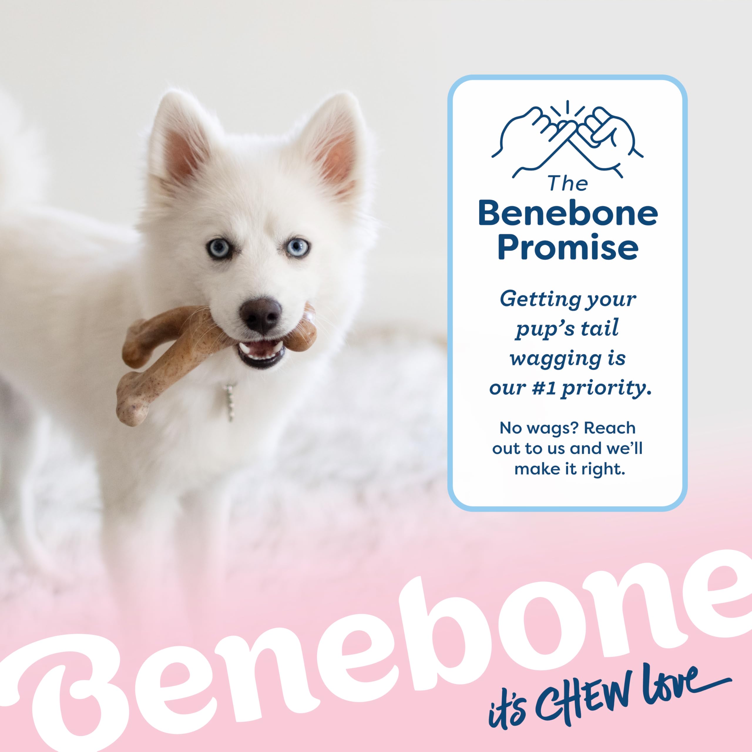Benebone: stimulation mentale et mâchage apaisant pour chiots.