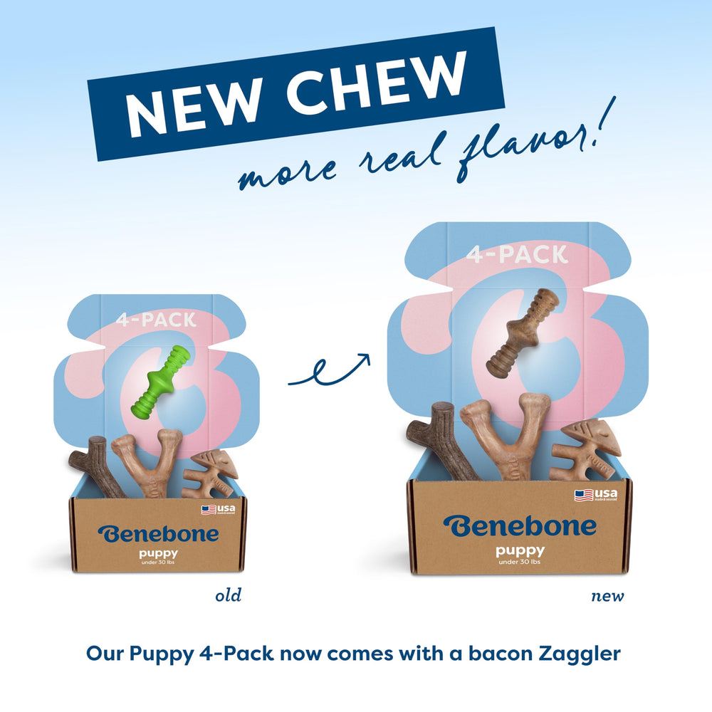 Benebone uso en casa y viajes para cachorros