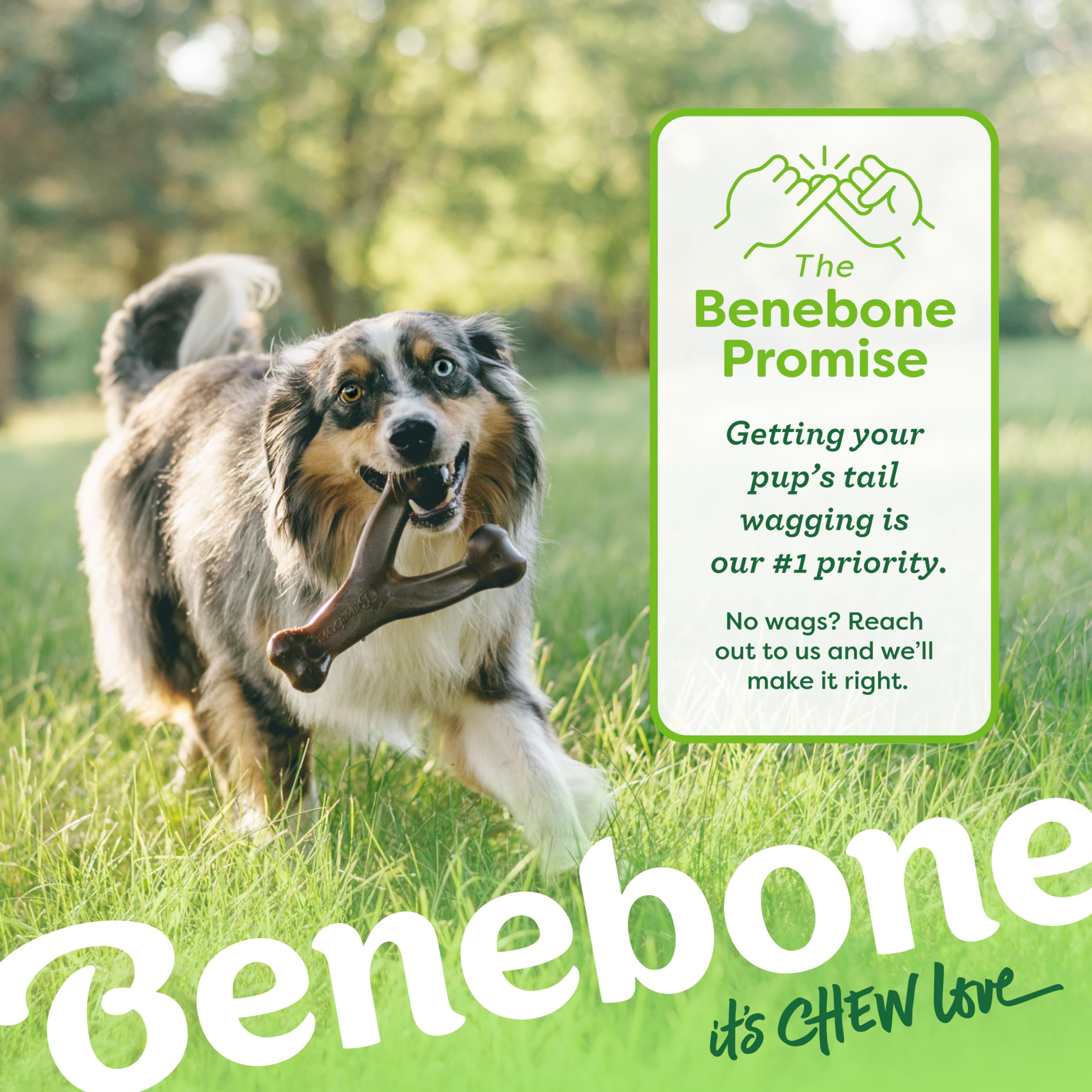 Benebone Wishbone estrias para limpieza ligera de dientes y masaje de encías.