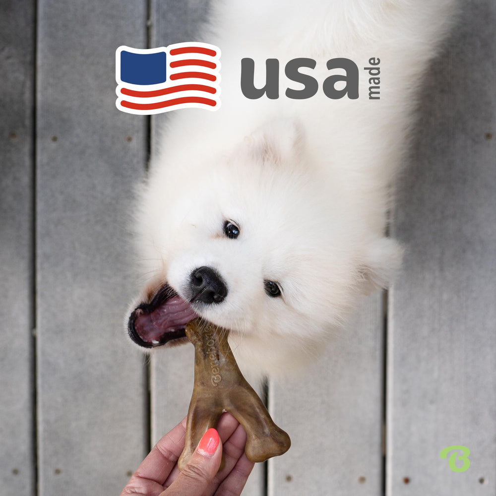 Benebone Wishbone tamaño mini, perfecto para razas pequeñas o cachorros.