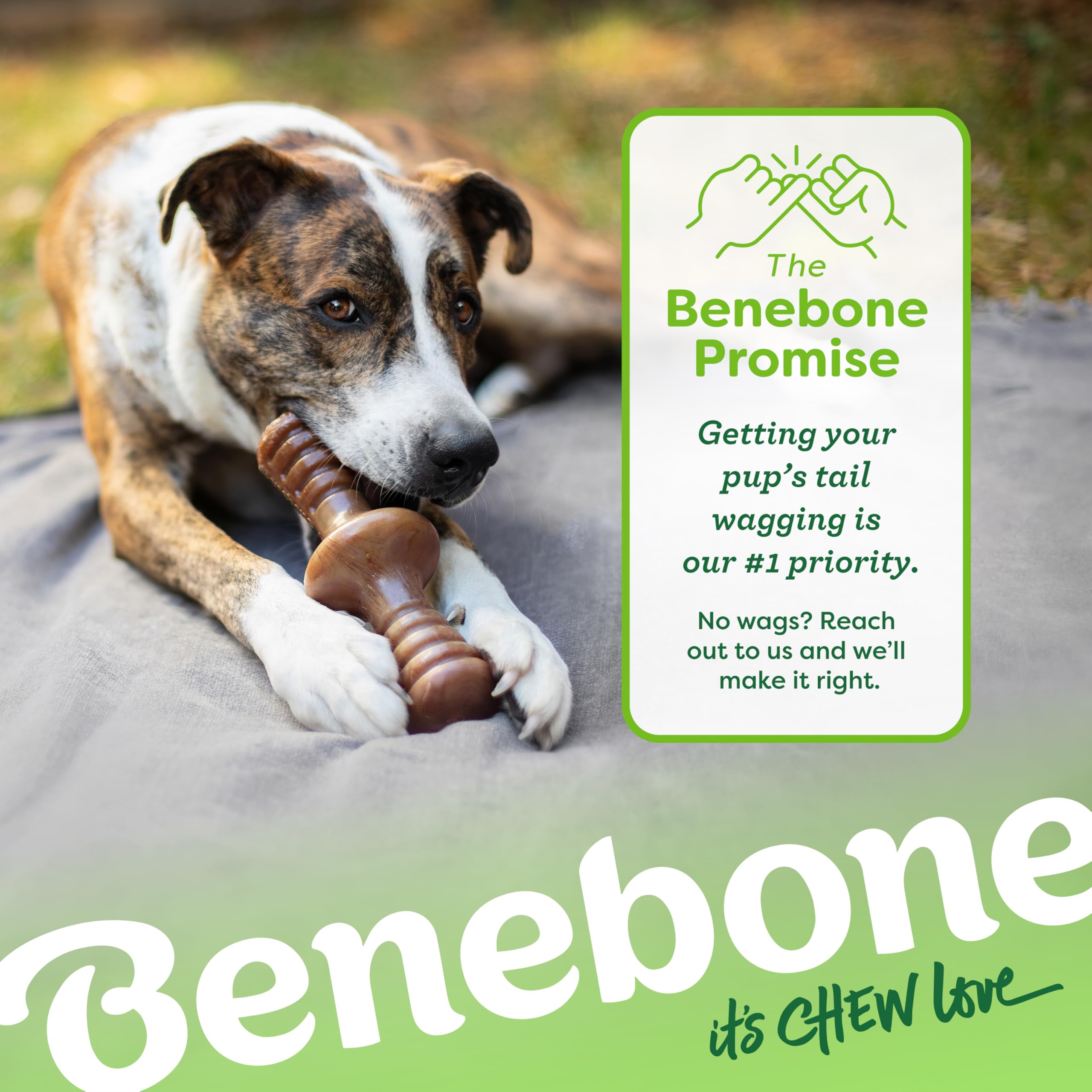 Benebone Zaggler, ideal para sesiones supervisadas de juego prolongado y masticación.
