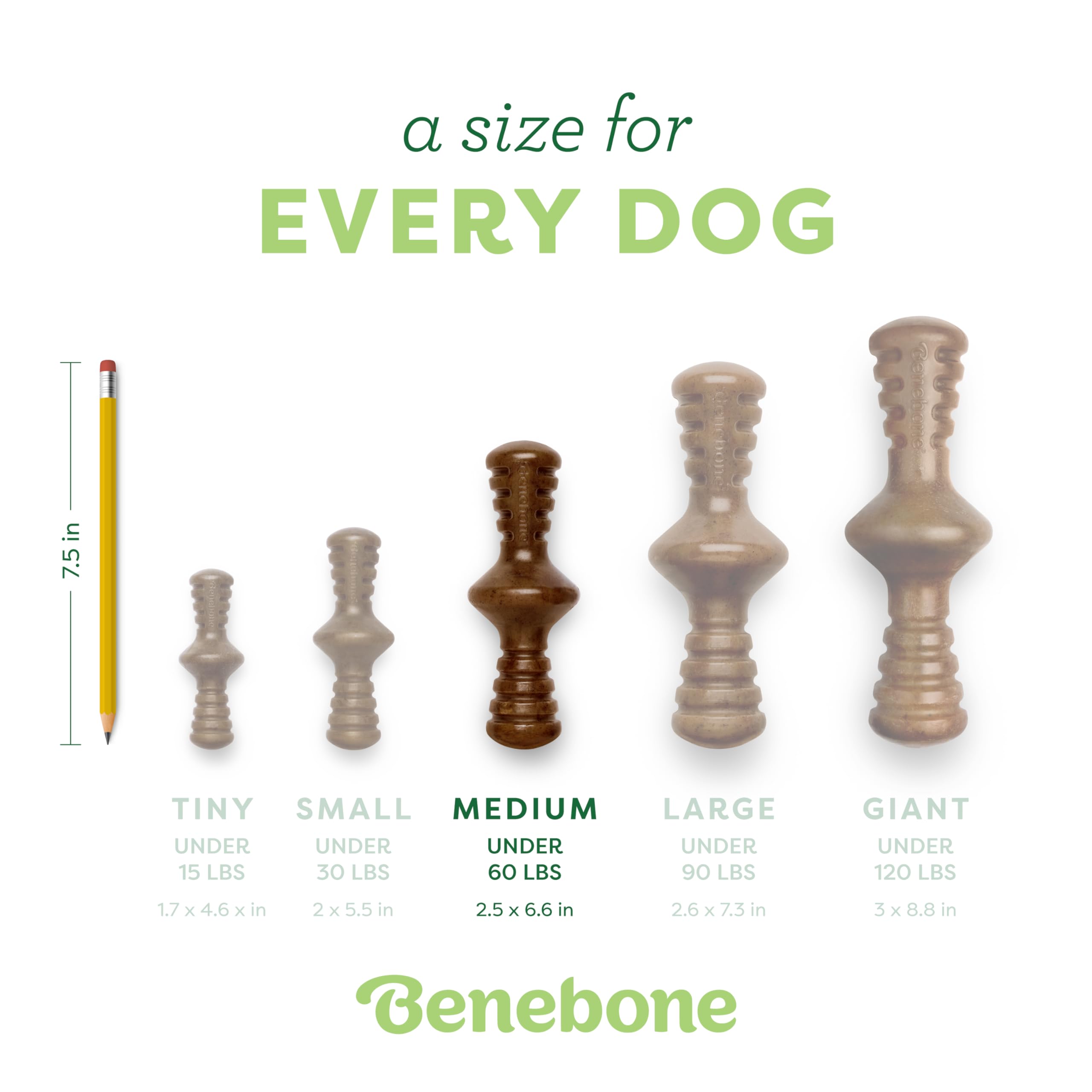Benebone Zaggler diseñado para rodar y estimular el juego.