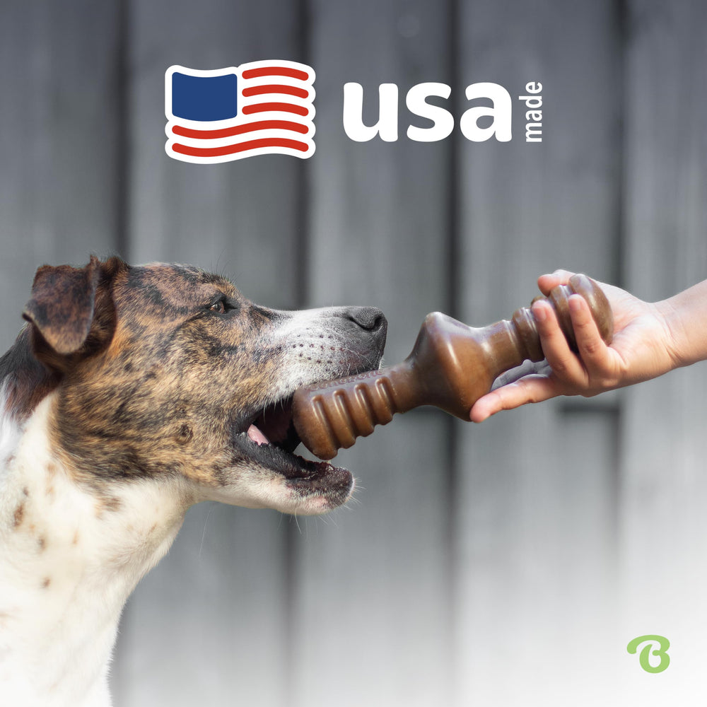 Benebone Zaggler tamaño grande ideal para perros activos.