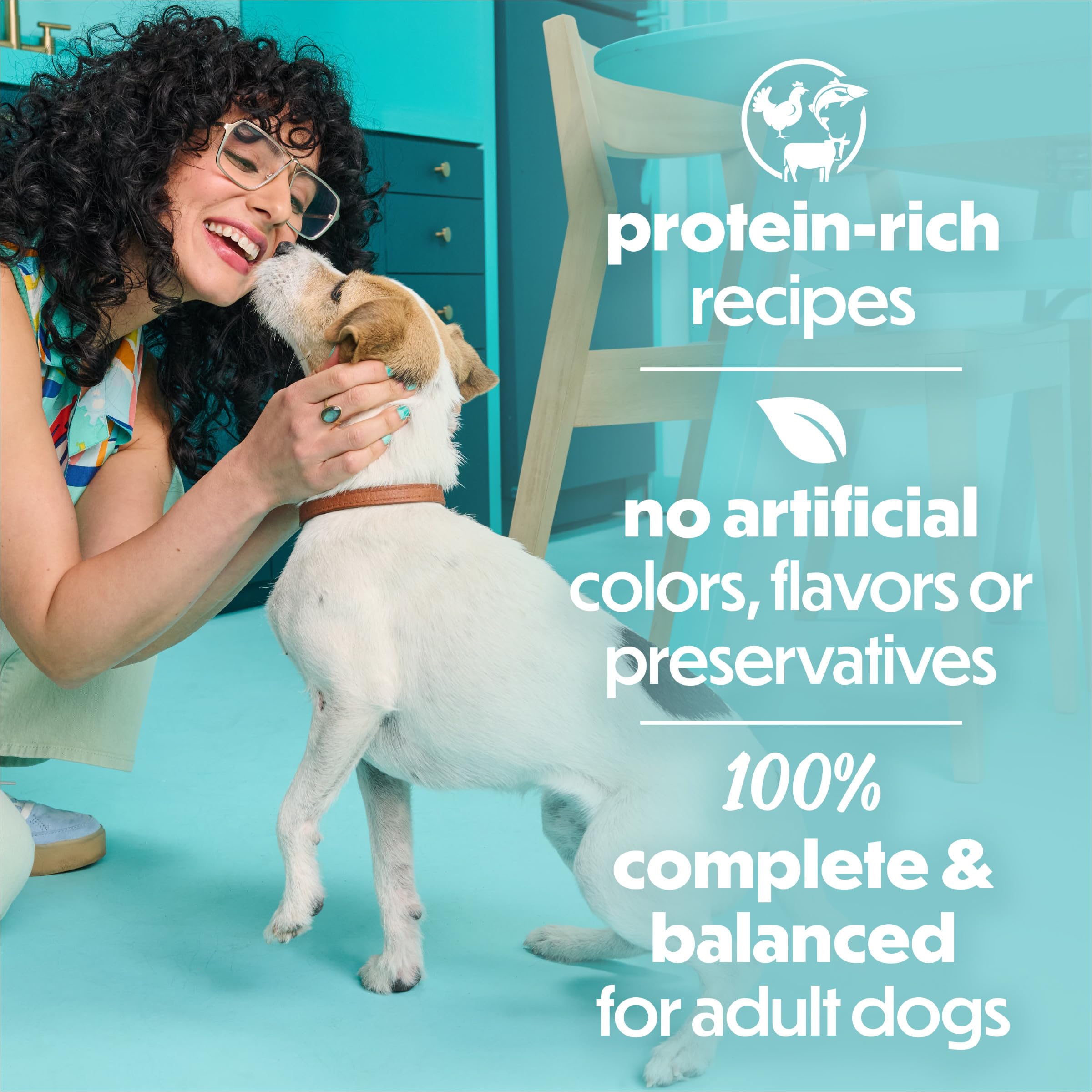 Beneful proteína alta para músculos fuertes, en lata para perros pequeños.