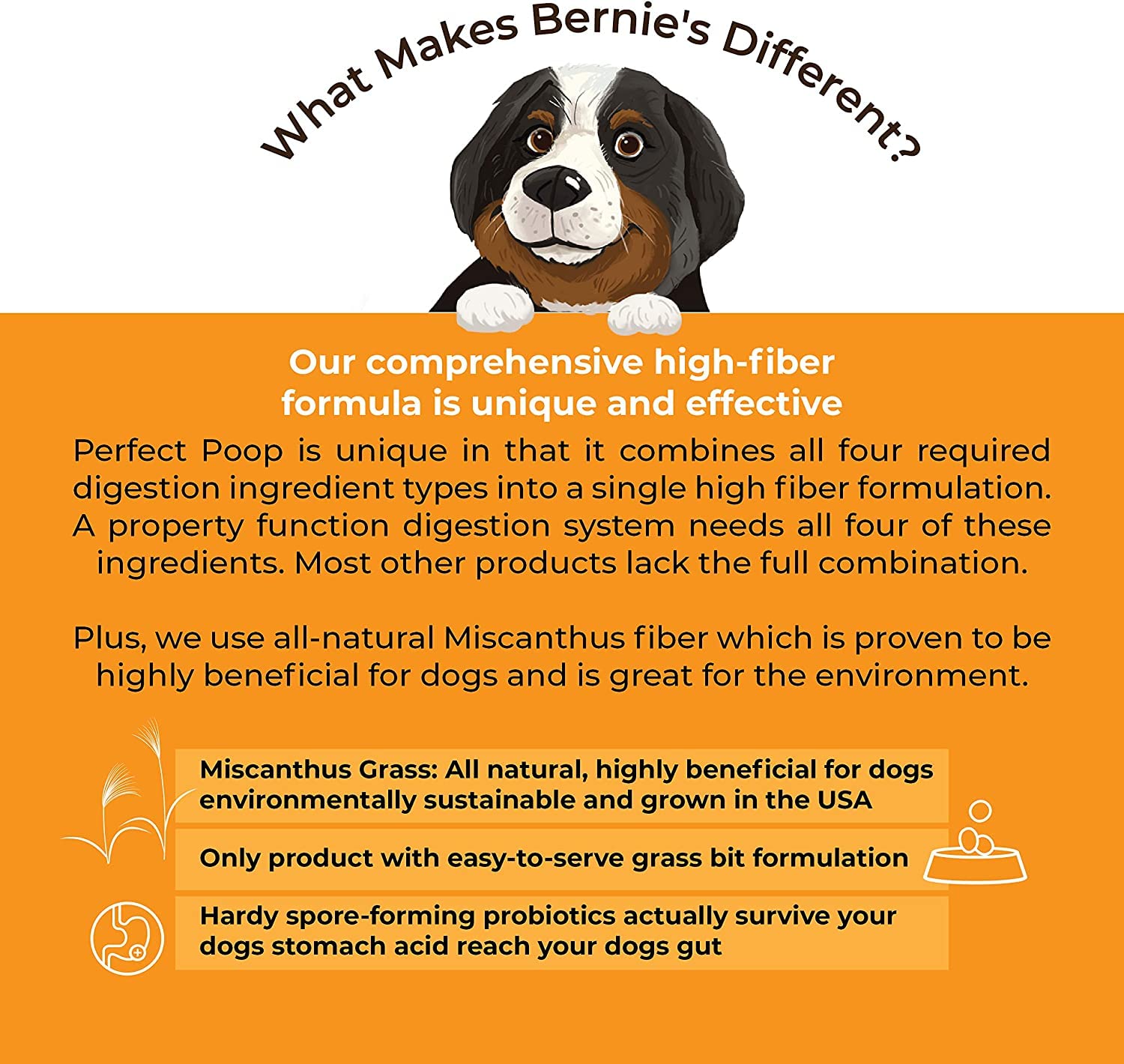 Dosificador práctico de Bernie's Perfect Poop para dosis consistentes