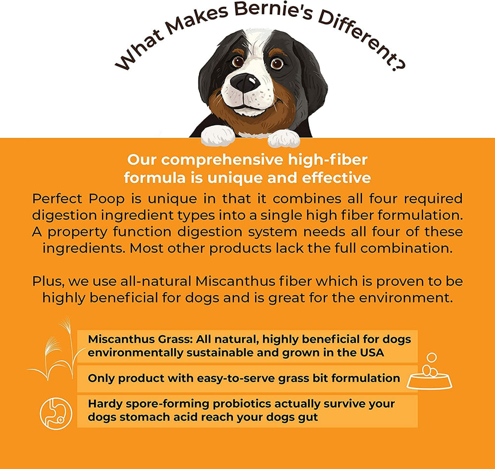 Bernie's Perfect Poop, fórmula 4 en 1 con fibra, prebióticos, probióticos y enzimas.