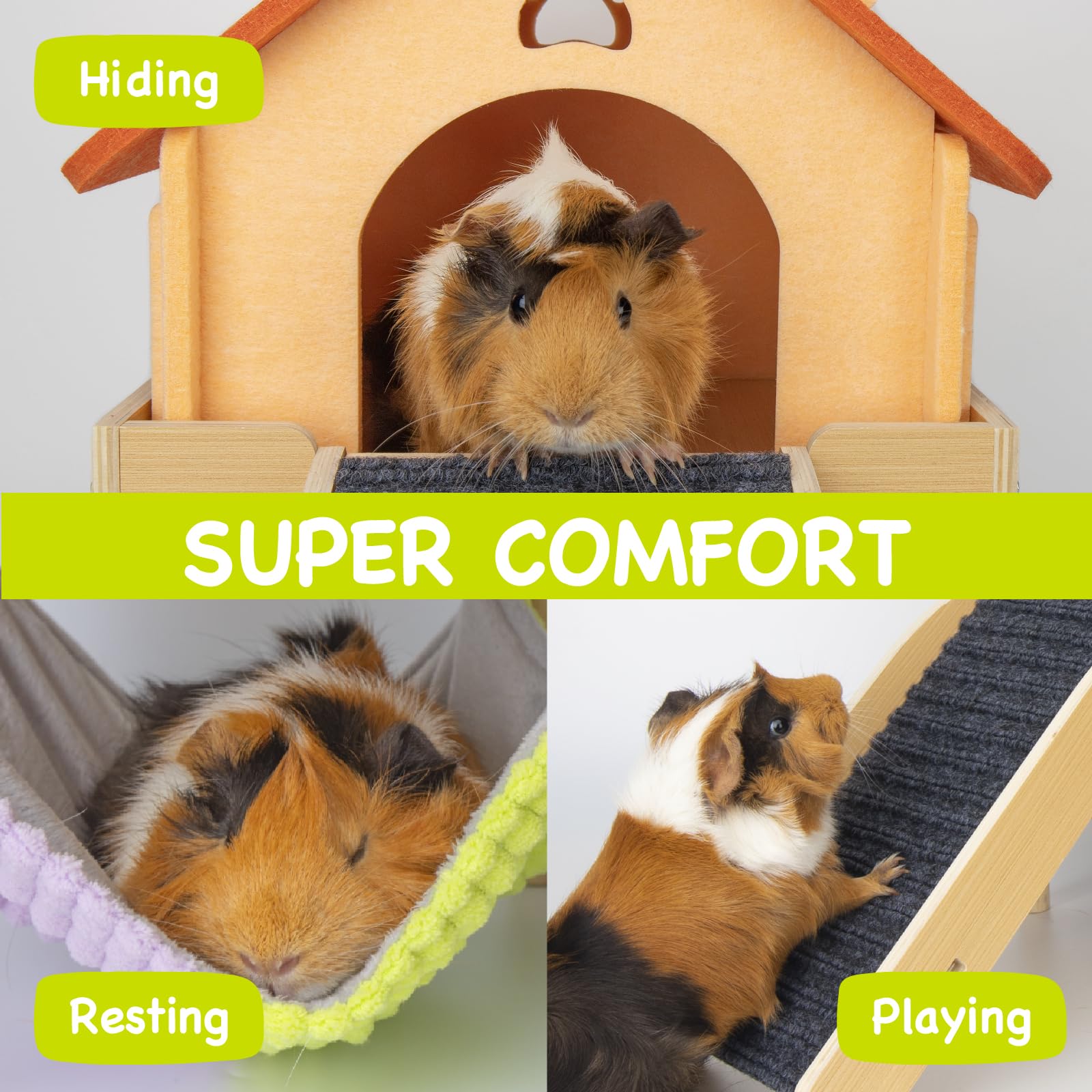 BESNEW plataforma amplia para cobaya, más espacio para moverse