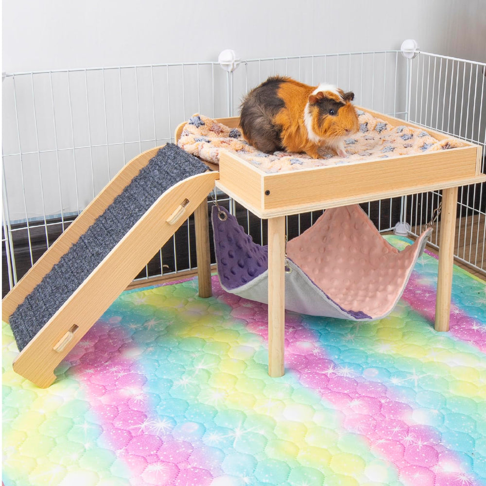 BESNEW regalo para mascotas pequeñas, opción práctica y divertida